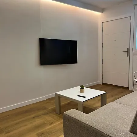 Bidasoa By Basquelidays Apartment *